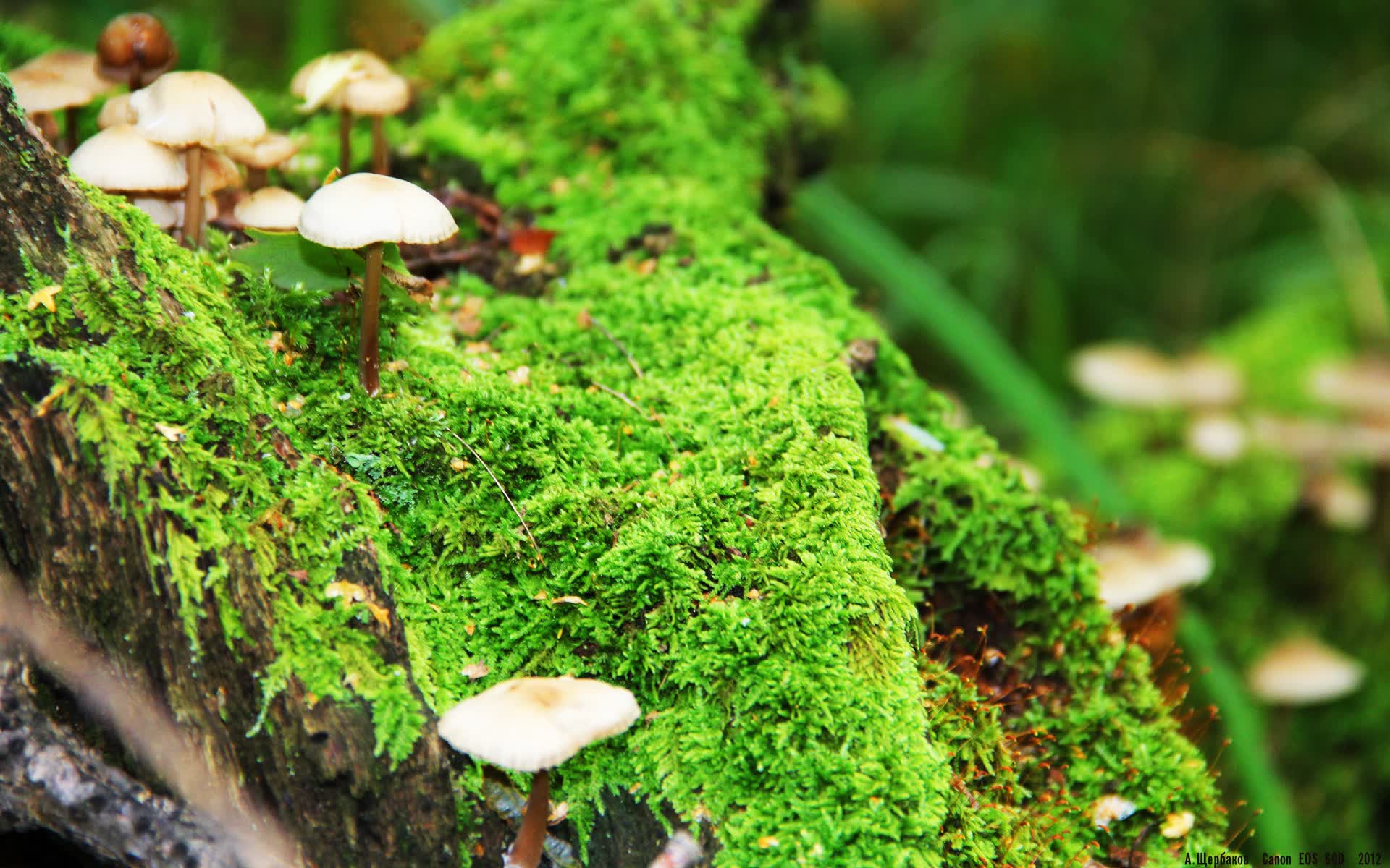 世界体能训练器材公益捐赠:助力基层体育设施改善,体能训练公司